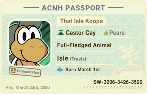 New Horizons Passport